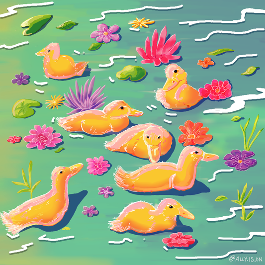 Ducks