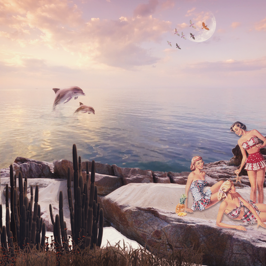 Clear Paradise