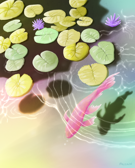 Koi Pond