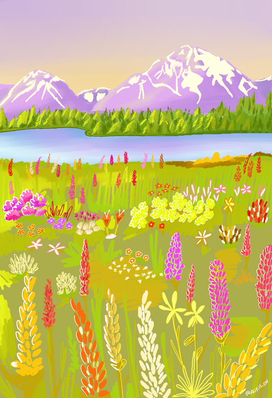 Spring